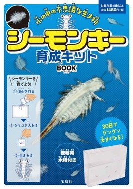 夏休みの自由研究にも