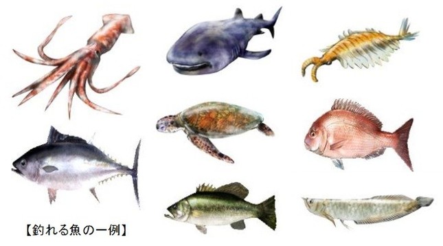 おなじみの魚からレア魚まで130種以上の獲物が待っている！