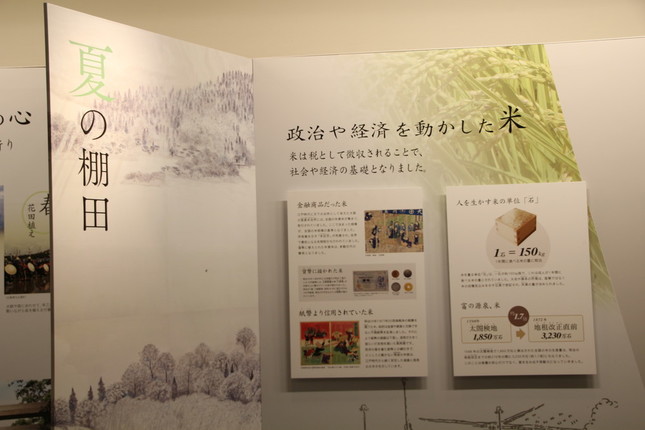 米の歴史が学べる展示も