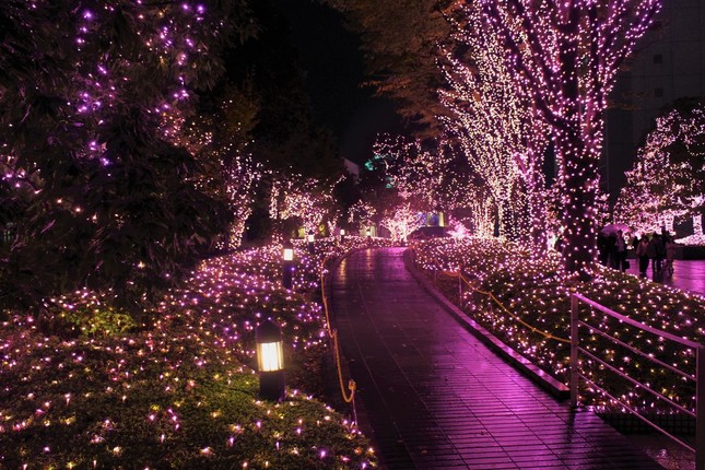 新宿テラスシティにピンクのイルミ 全長8メートルに輝く 真冬のサクラ J Cast トレンド