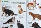 ネコ好きのハートをわしづかみ　マクドナルド「おまけ」の動物図鑑が欲しい～