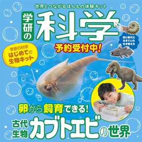 恐竜時代から生き続ける「カブトエビ」を飼育、生命の神秘と不思議に迫る