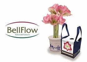 新ブランド『BellFlow』のロゴマーク（左）と商品（アマリリス『ポットアマリリス』）イメージ（右）
