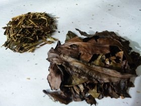 【ご当地グルメ食べまくり】京・宇治の番茶は豪快、ほうじ茶は繊細