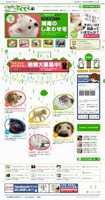 サイト「いぬねこてくてく」でもっと大好きに！　「いぬのきもち」創刊10周年