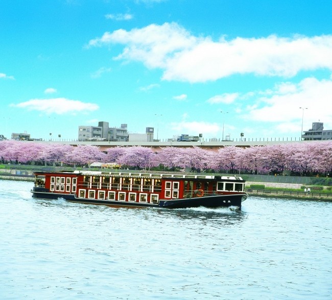 ホテル日航東京「春爛漫～隅田川クルーズプラン～」　ランチやアフタヌーンティーも