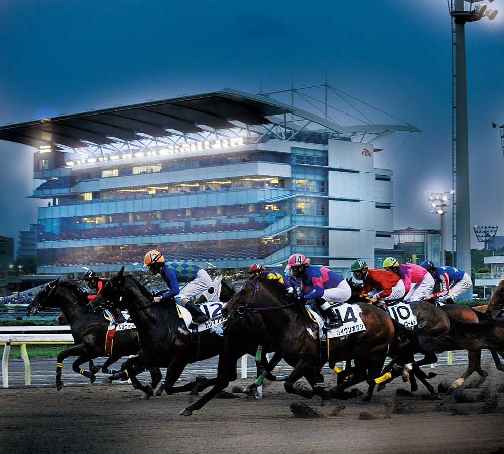 競馬の祭典と食の祭典を同時に Jbc開催日に大井で 馬産地と全国うまいもの大会 J Cast トレンド