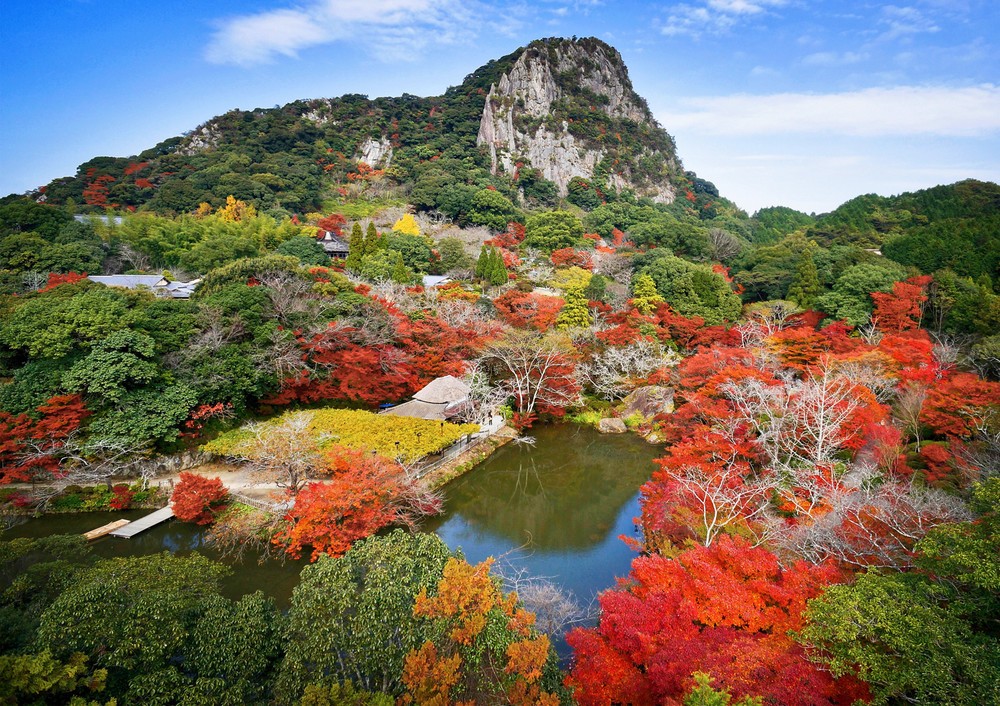 歴史ある庭園の紅葉が夜も楽しめる