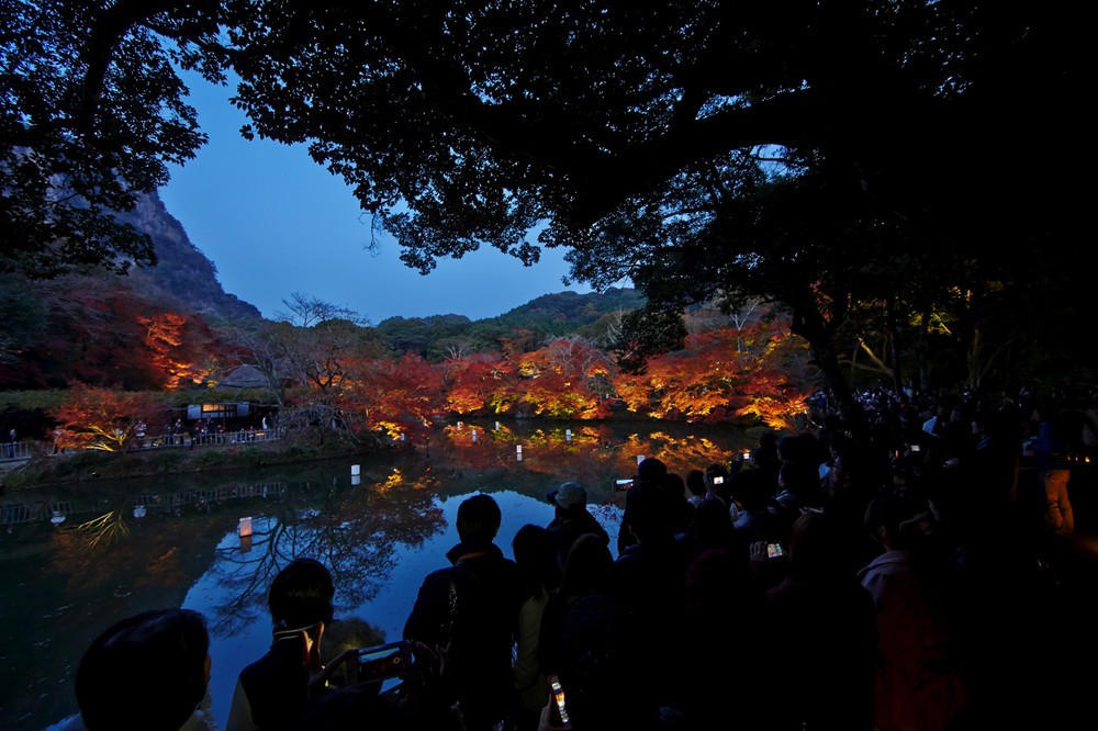 歴史ある庭園の紅葉が夜も楽しめる