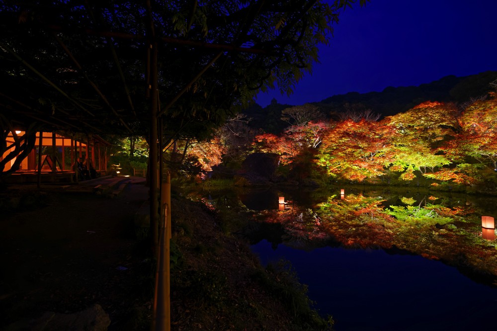 歴史ある庭園の紅葉が夜も楽しめる