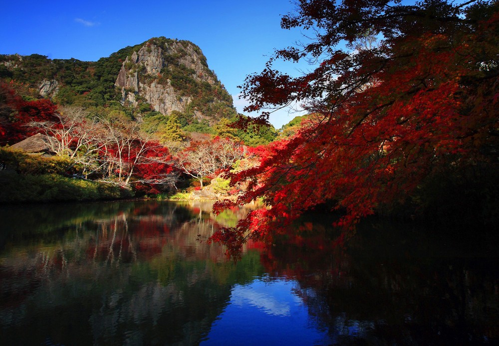 歴史ある庭園の紅葉が夜も楽しめる