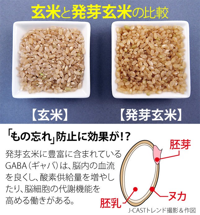 発芽玄米は食べやすくて、しかも栄養価が高い