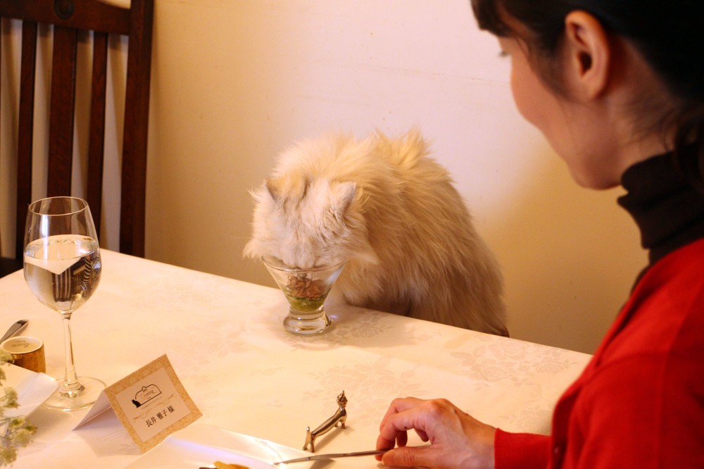 美味しさに猫舌鼓