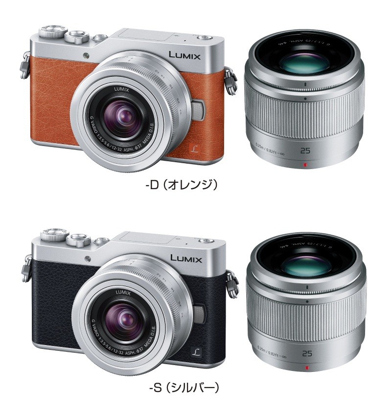 「4Kセルフィー」搭載...パナソニック「LUMIX DC-GF9W」