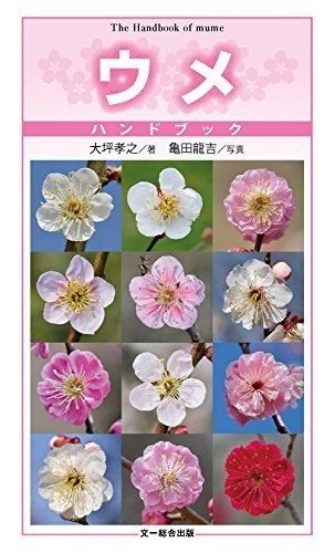 東風吹かば 1の梅を愛で 100年前の梅干しに見入り 梅ぢからを食す J Cast トレンド 全文表示