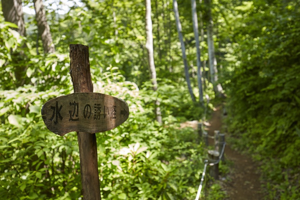 古くから静かで風光明媚な保養地として知られる