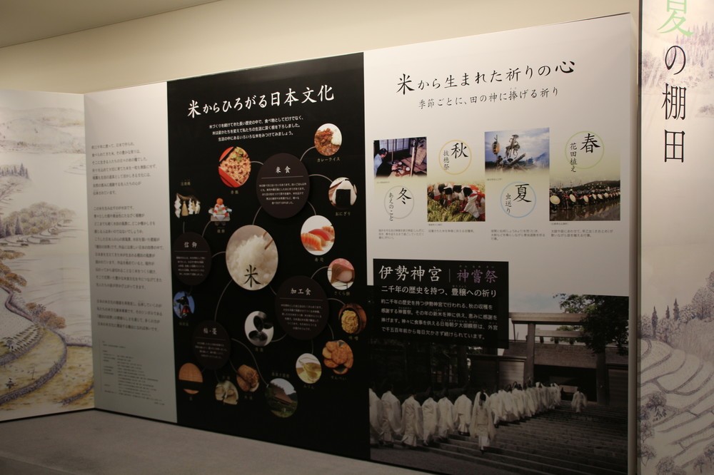 米の歴史が学べる展示も