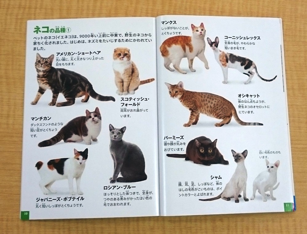 ネコ好きのハートをわしづかみ マクドナルド おまけ の動物図鑑が欲しい J Cast トレンド