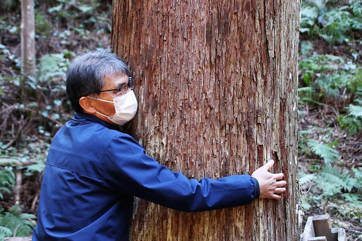 樹齢100年ほどの木。先代が植えた木を受け継ぎ、育て続けている