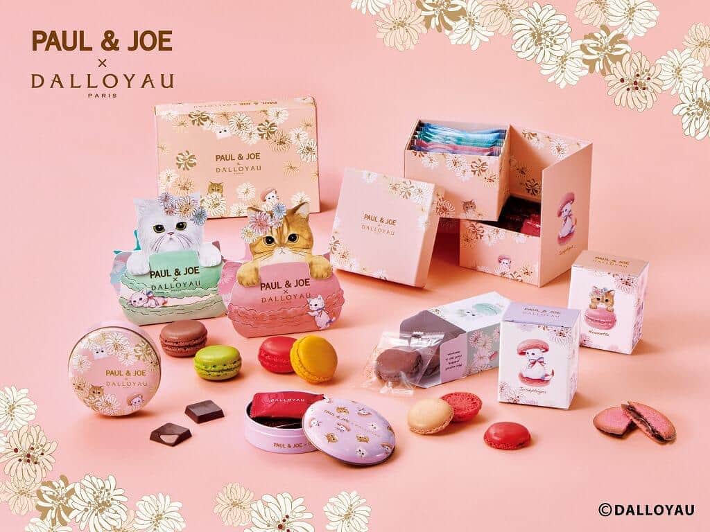 フランス発祥ダロワイヨとPAUL & JOEのコラボ　猫が愛らしい「ニャカロン」