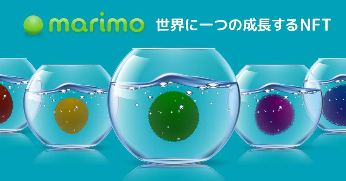 色と形の組み合わせは1000種類