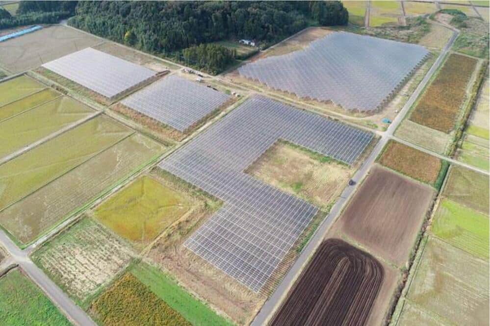 事業実施農地は大規模な耕作放棄地等を活用し、営農型太陽光発電事業を行っている