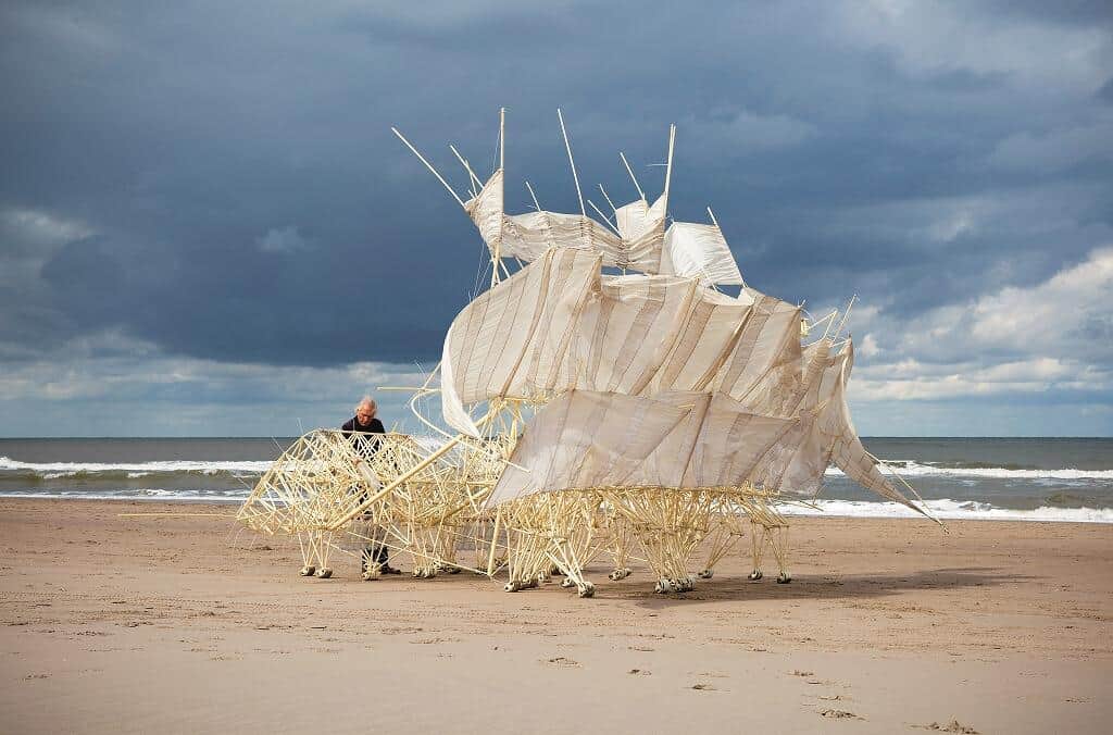 オランダの海面上昇間題解決のため、海岸に自生して砂を積み上げる防波堤ができないか、という発想を基点として生まれた