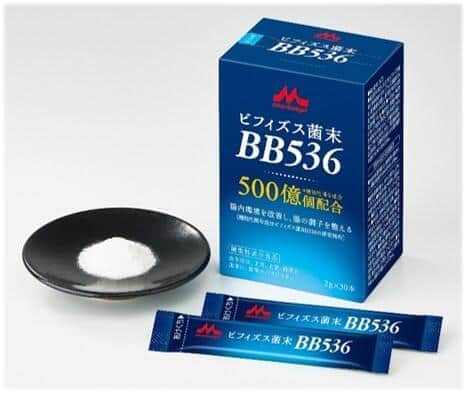 同菌をスティック1本あたり500億個配合　「ビフィズス菌末BB536」発売