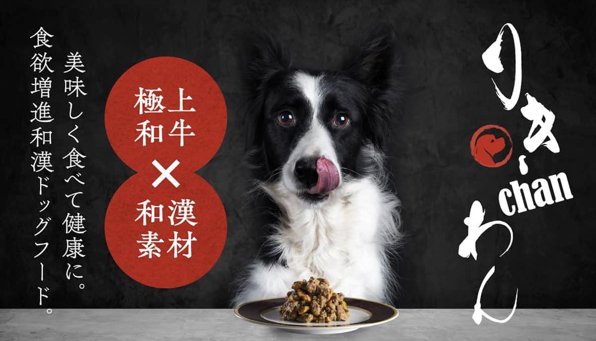 SDGsの観点から和牛の端材を活用し、愛犬に美味しいお肉を提供