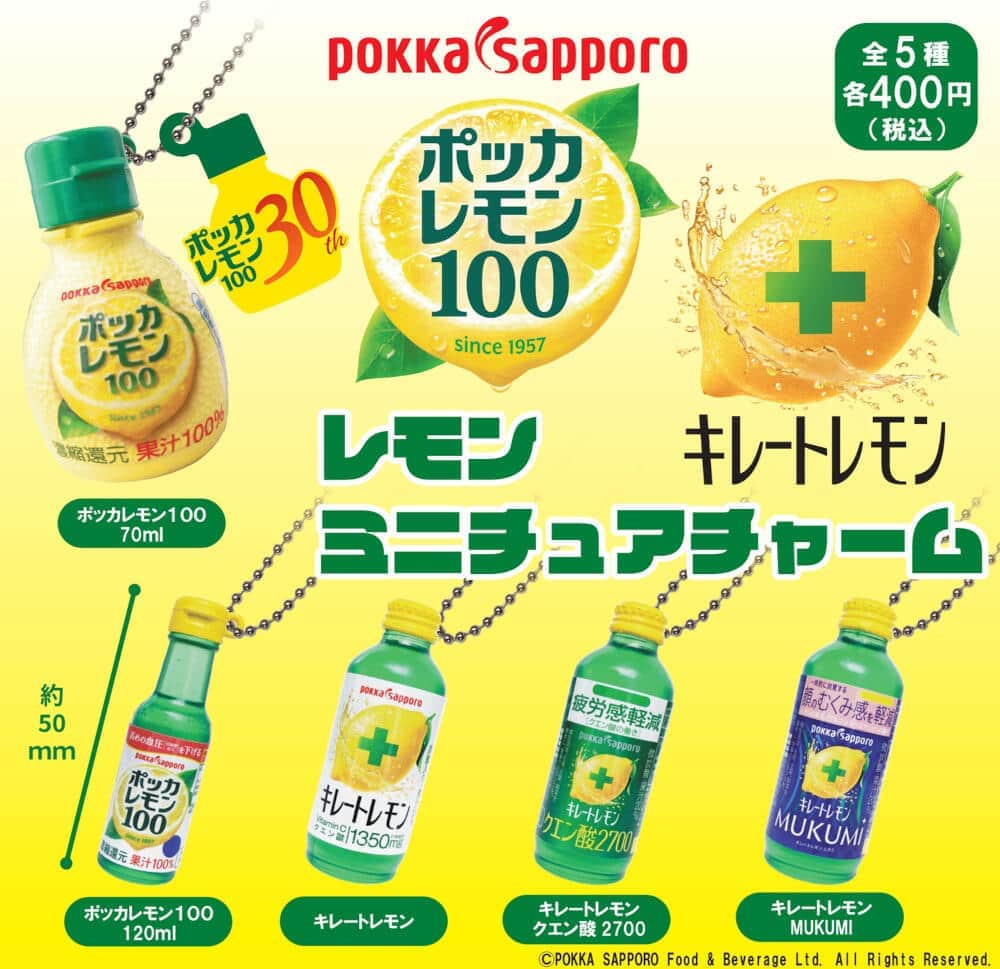 料理や健康維持などで頼りになるポッカサッポロの定番商品をミニチュア化
