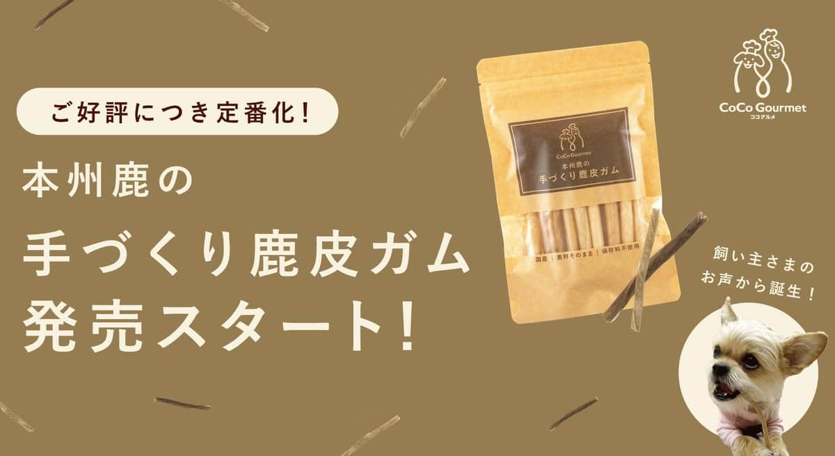 【11/8更新】きょうから始める「ナナメ読みSDGs」　あーんなことも実は「SDGs」です