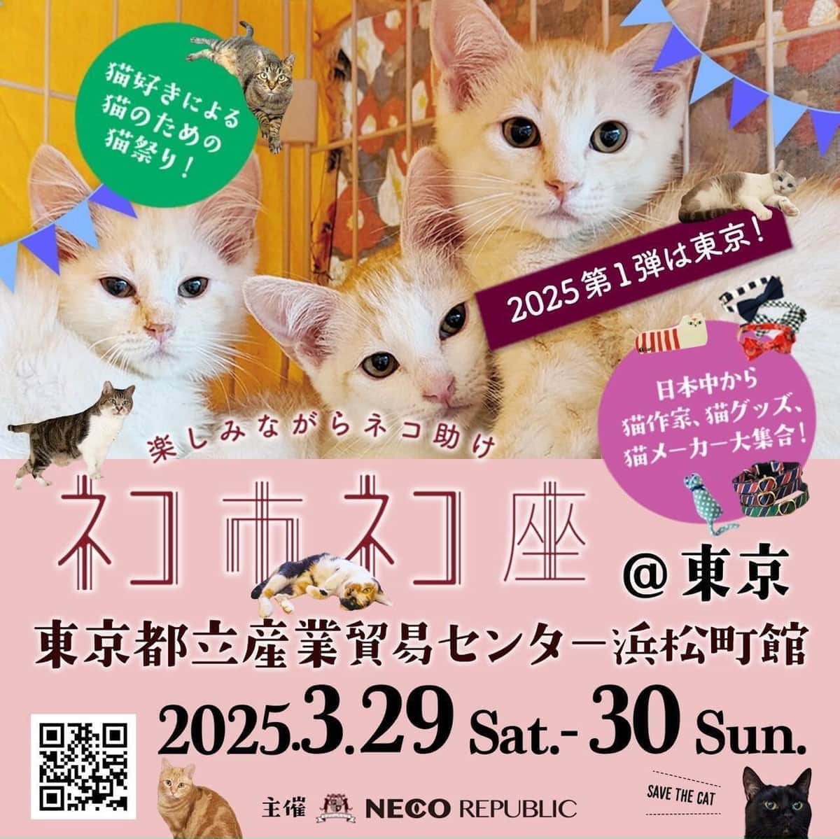 猫にかかわるイベント