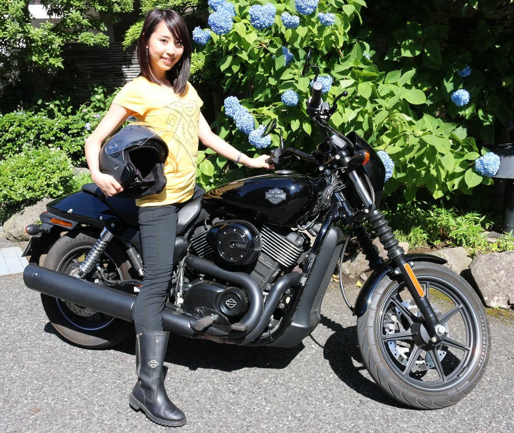 ハーレーダビッドソン その他ハーレー Bevel Two-Up Seat HARLEY