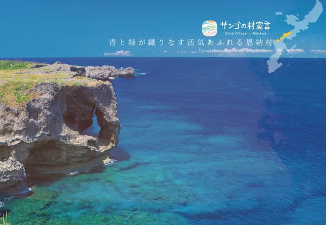 シュノーケリング体験が返礼品、沖縄・恩納村の公式サイト