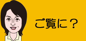 官僚の数値予測　ウソっぱちは「空港」だけ？