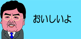 緑のカーテン人気者ミニメロン「ころたん」1株で2～4個。育てやすくて美味しい！