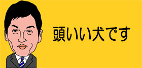 トイプードル「ポッキー」警察犬合格！山形県警「災害救助」任命