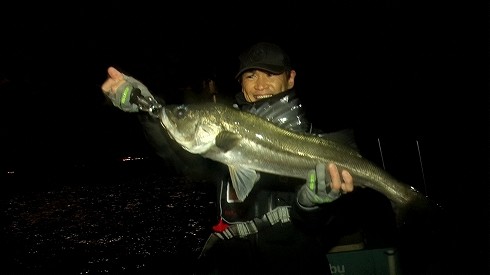 サカナクション山口一郎 趣味は 魚釣り 船で夜の東京湾に浮かびながら曲想練る J Cast テレビウォッチ