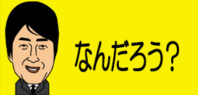 「白いタヌキ」民家庭先に出没！突然変異？新種？