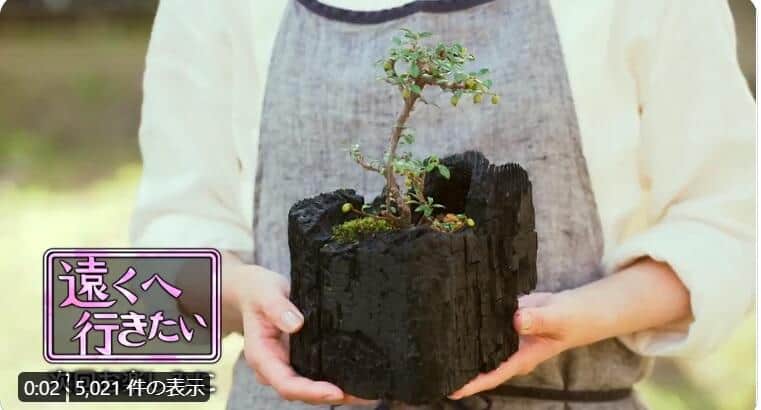 西田尚美が信州で出会った　「炭盆」の魅力とは