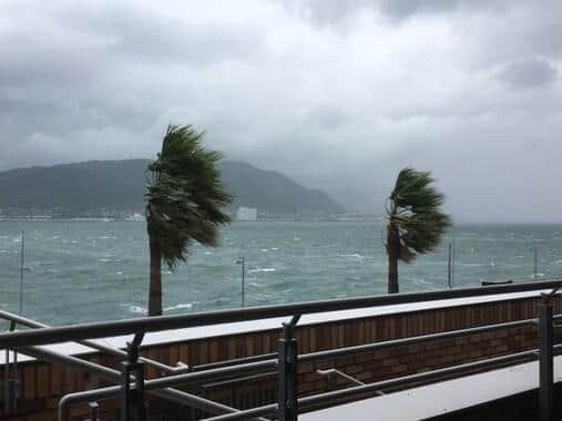 「台風5号」日本列島に接近・上陸あり?天達武史「上空の高気圧がブロックするはず」