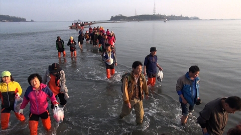 韓国 珍島 海が割れる日 世界中から50万人の見物客 海の上に道ができる奇跡の瞬間 J Cast テレビウォッチ