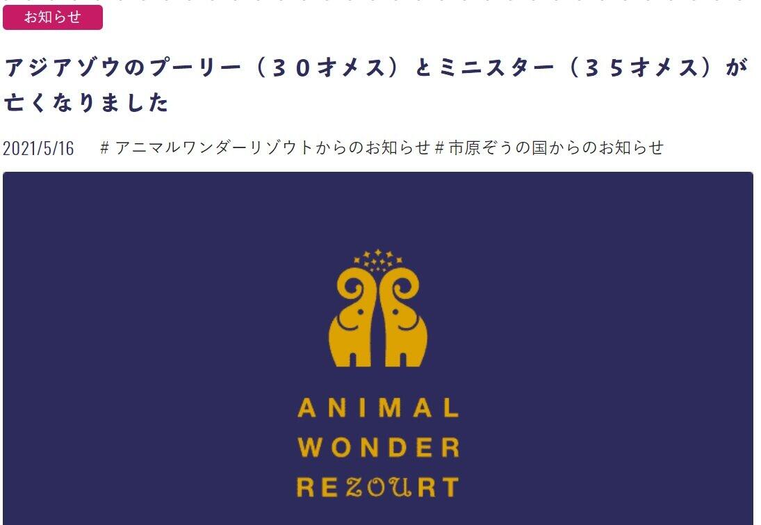 ゾウ6頭が体調崩し2頭が死ぬ ゾウ専門医療機関と原因究明中 J Cast テレビウォッチ