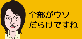 全部がウソだらけですね